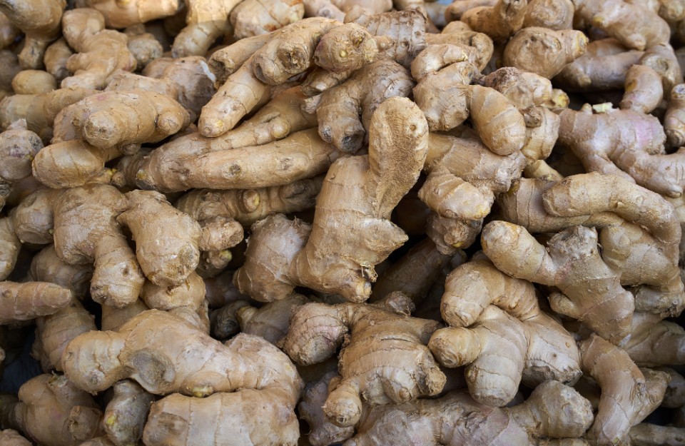 Green Ginger Mandi Prices Today in NCT Delhi and Uttar Pradesh on 07 February 2024